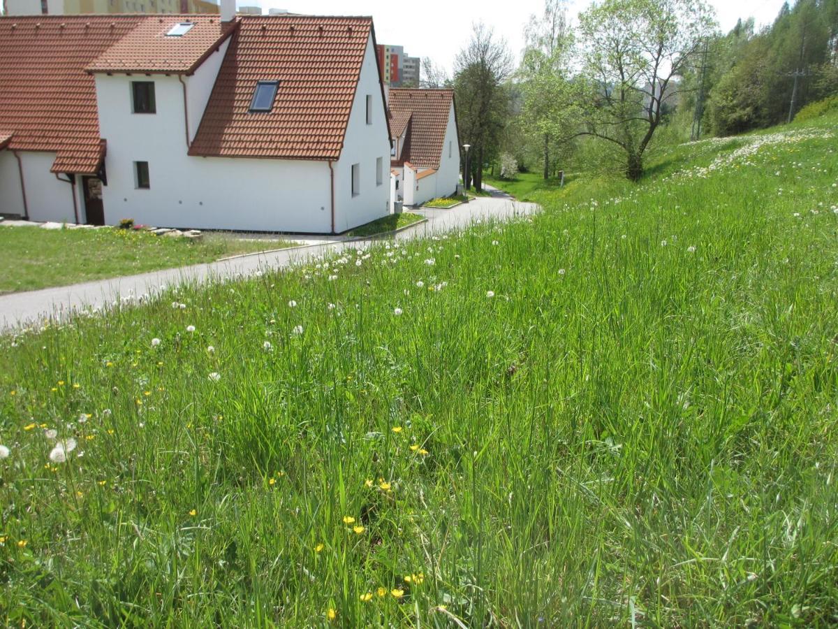 Apartmány U Procházků Český Krumlov Exterior foto